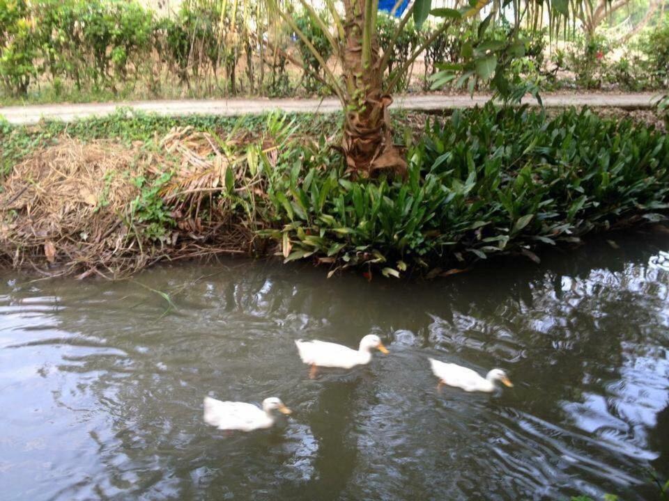 Nam Thanh Homestay Vĩnh Long Εξωτερικό φωτογραφία